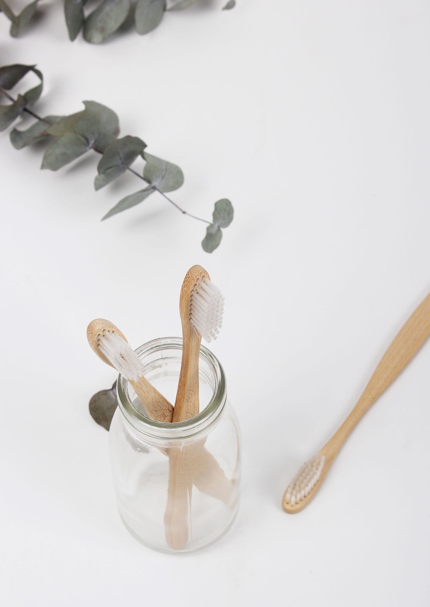 Eco Basics Bamboo Toothbrush - Adult